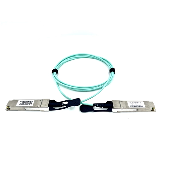 Ethernet port to optical conversion module