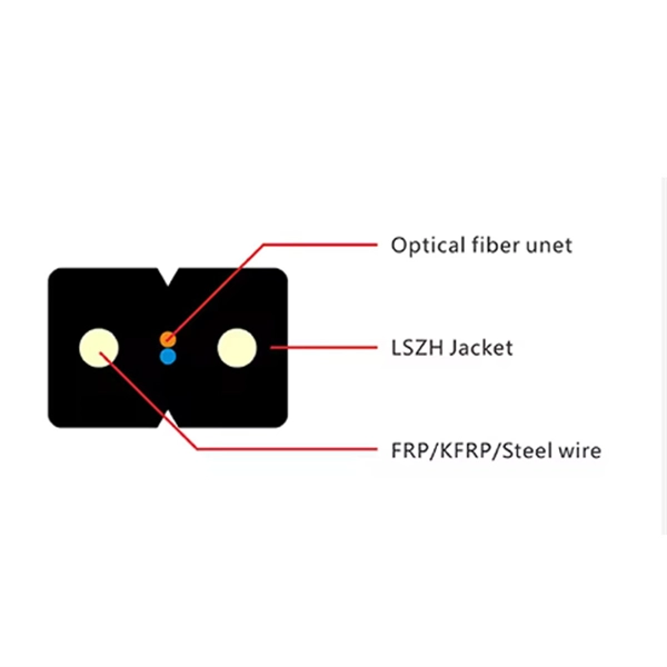 Photonic Chip All-Optical Module