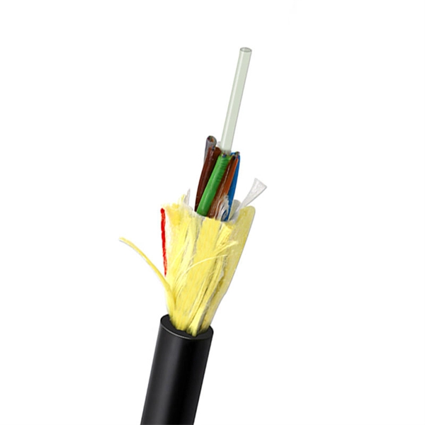 Optical Module rin