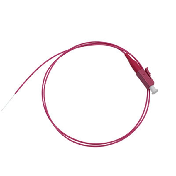 Which port on the switch should the router s cable be connected to 