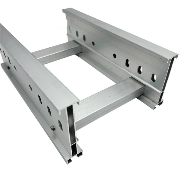 Which port on the router is for the fiber optic cable 