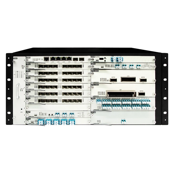 Can fiber optic cables be plugged into a Cat6 panel 